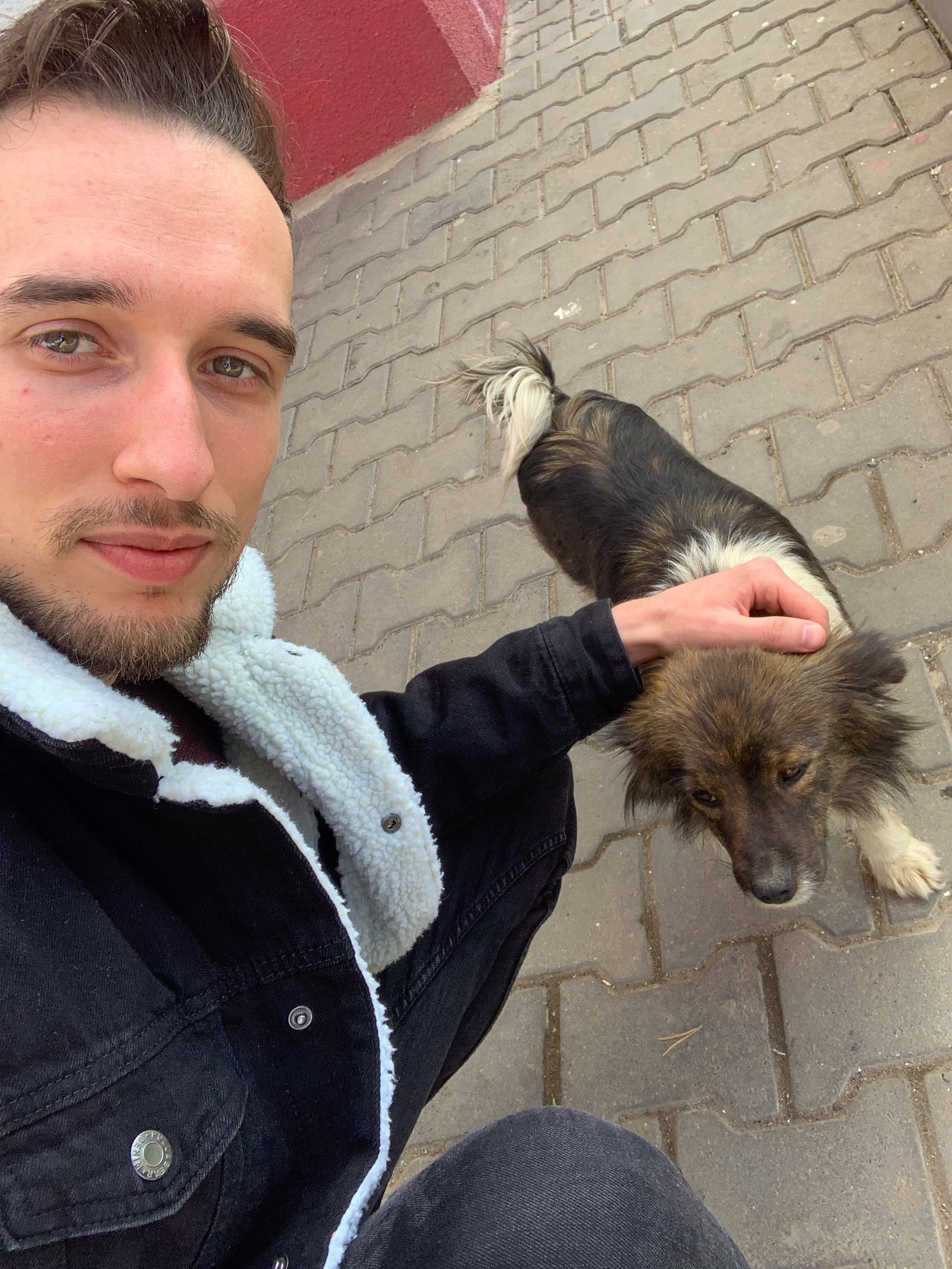 Cu un câine maidanez